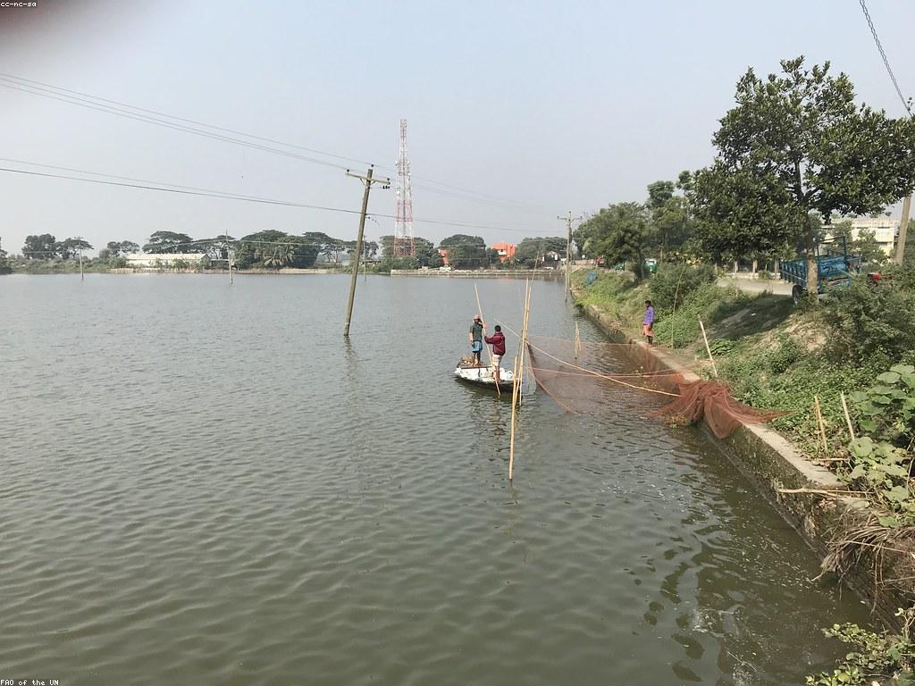 បច្ចេកទេសសំរាប់ការប្រើប្រាស់ឧបករណ៍បាញ់ត្រី