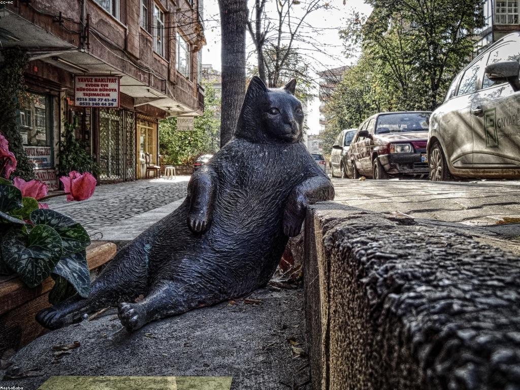 គន្លឹះសម្រាប់អ្នកដែលចាប់ផ្តើមការបាញ់ត្រី