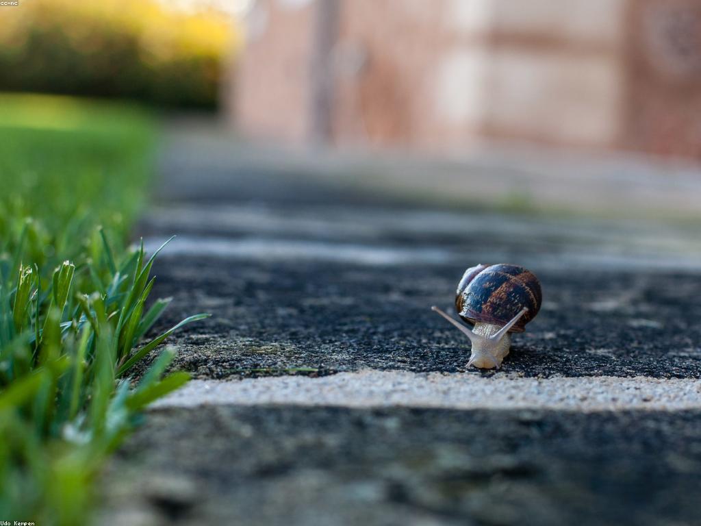 យុទ្ធសាស្ត្រសម្រាប់អ្នកឈ្នះនិងរង្វាន់
